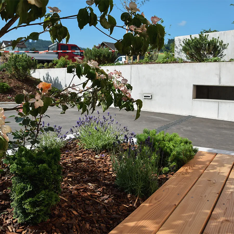 Dekoratives Bild Dekoratives Bild