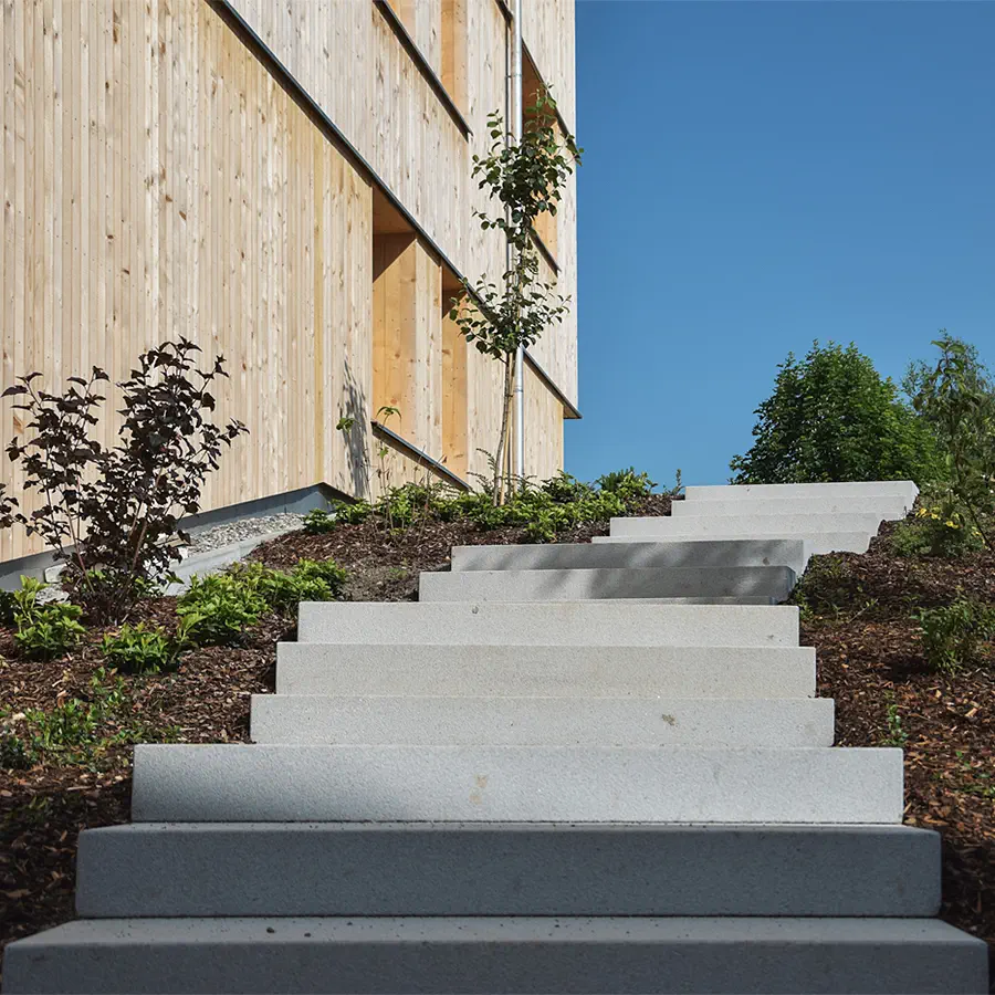 Dekoratives Bild Dekoratives Bild